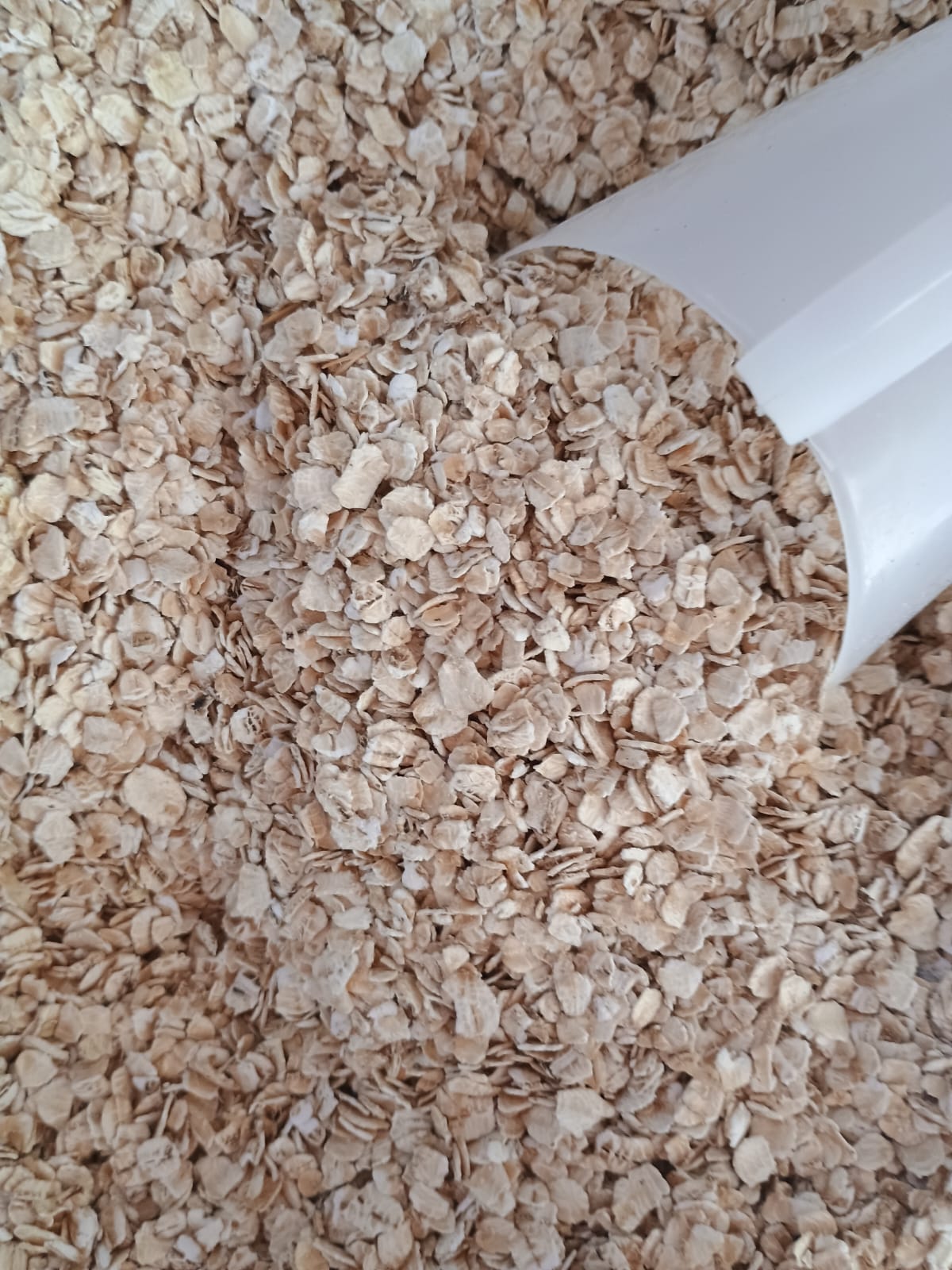 Aveia em Flocos Finos