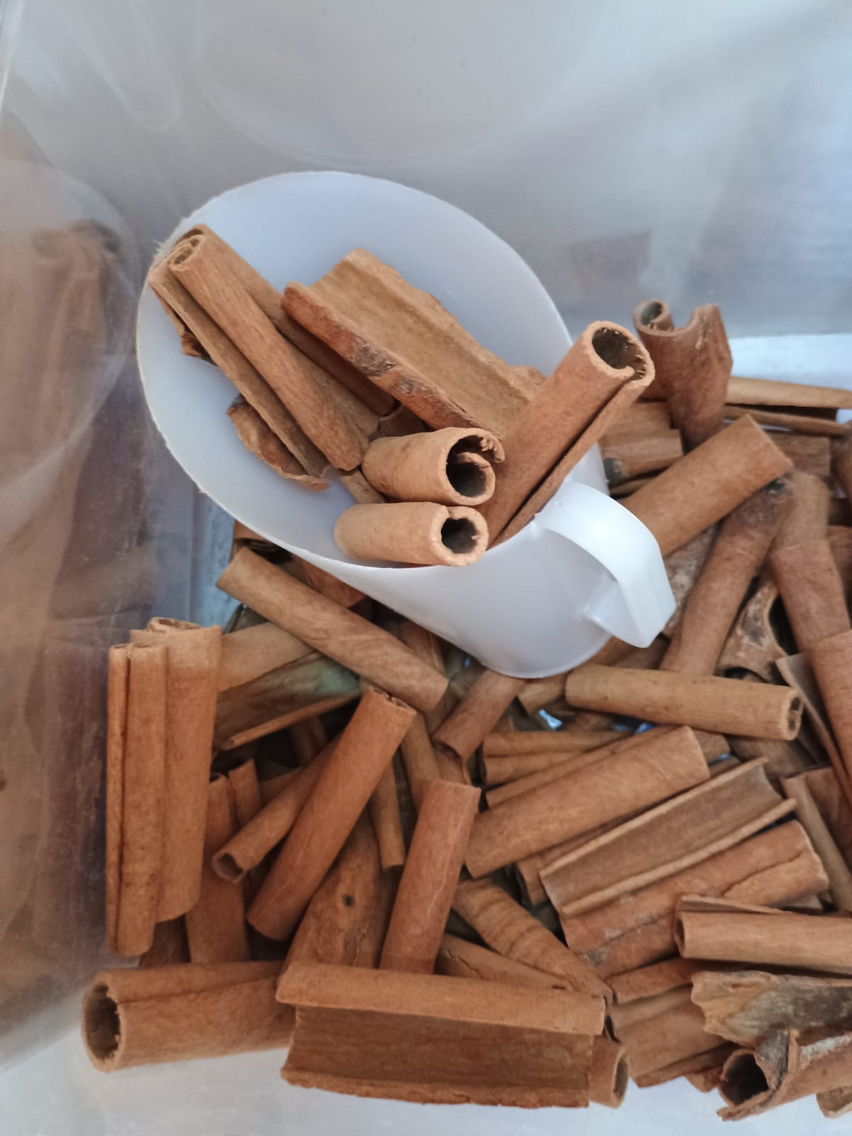 Canela em Pau