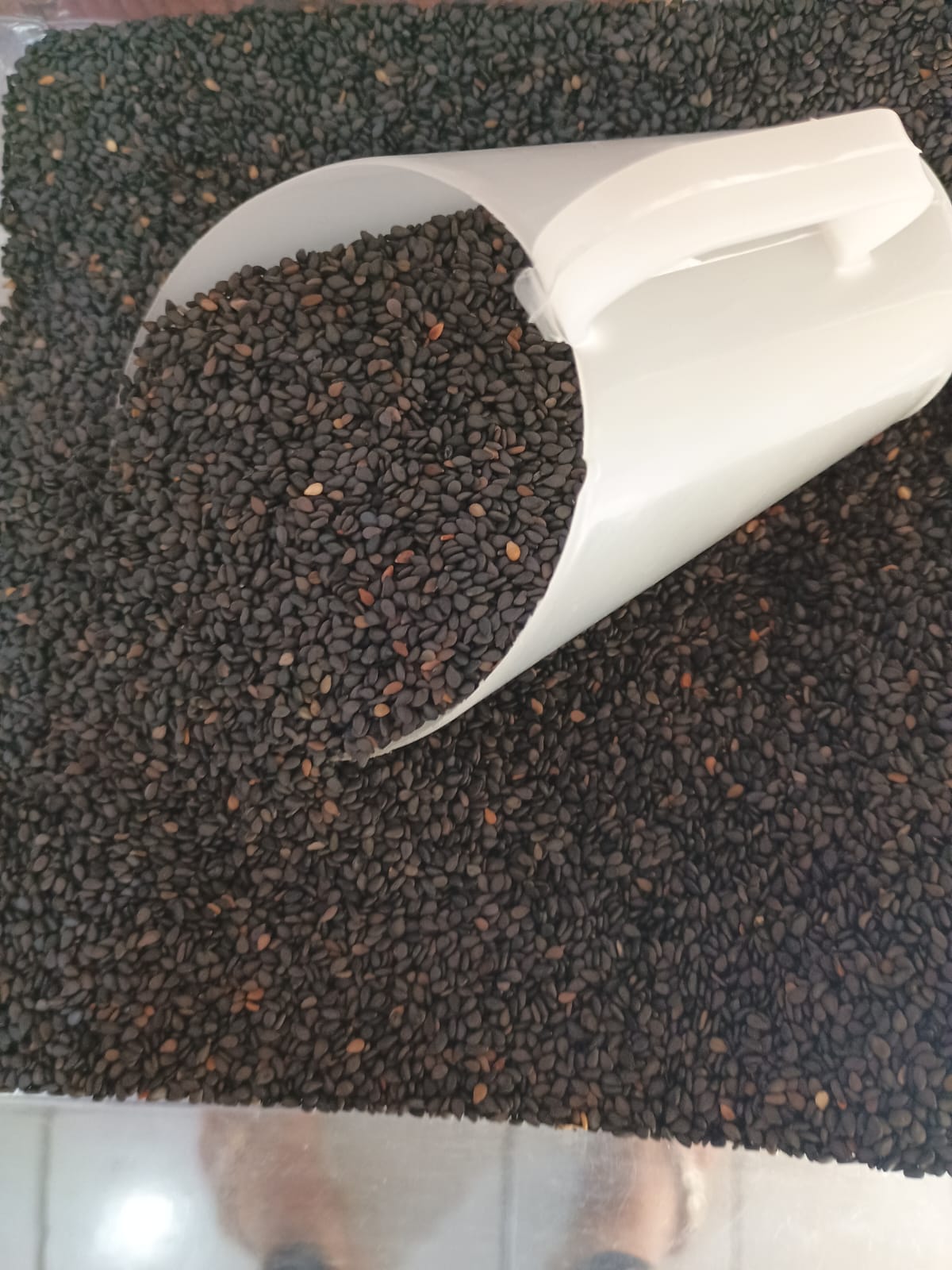 Chia