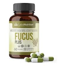 Fucus (Fucus vesiculosus) – Nutriextratus
