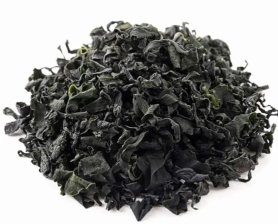 Fucus